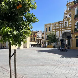https://aloja-sevilla-apartamento-calle-pozo.es-andalucia.com